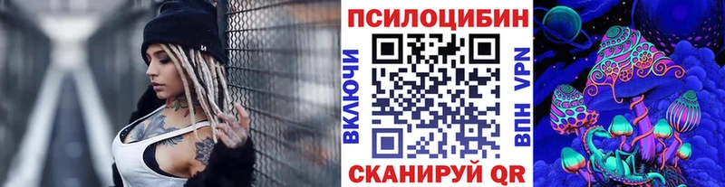 наркота  Камешково  Псилоцибиновые грибы GOLDEN TEACHER 